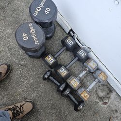 Dumbells Weights