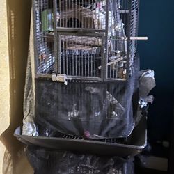 Cockatiel Cage/ Jaula cacatuas