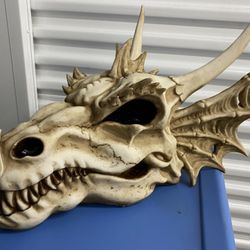 Dragon Skull (resin)