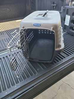 Pet Carrier 