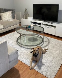 Round glass top coffee table