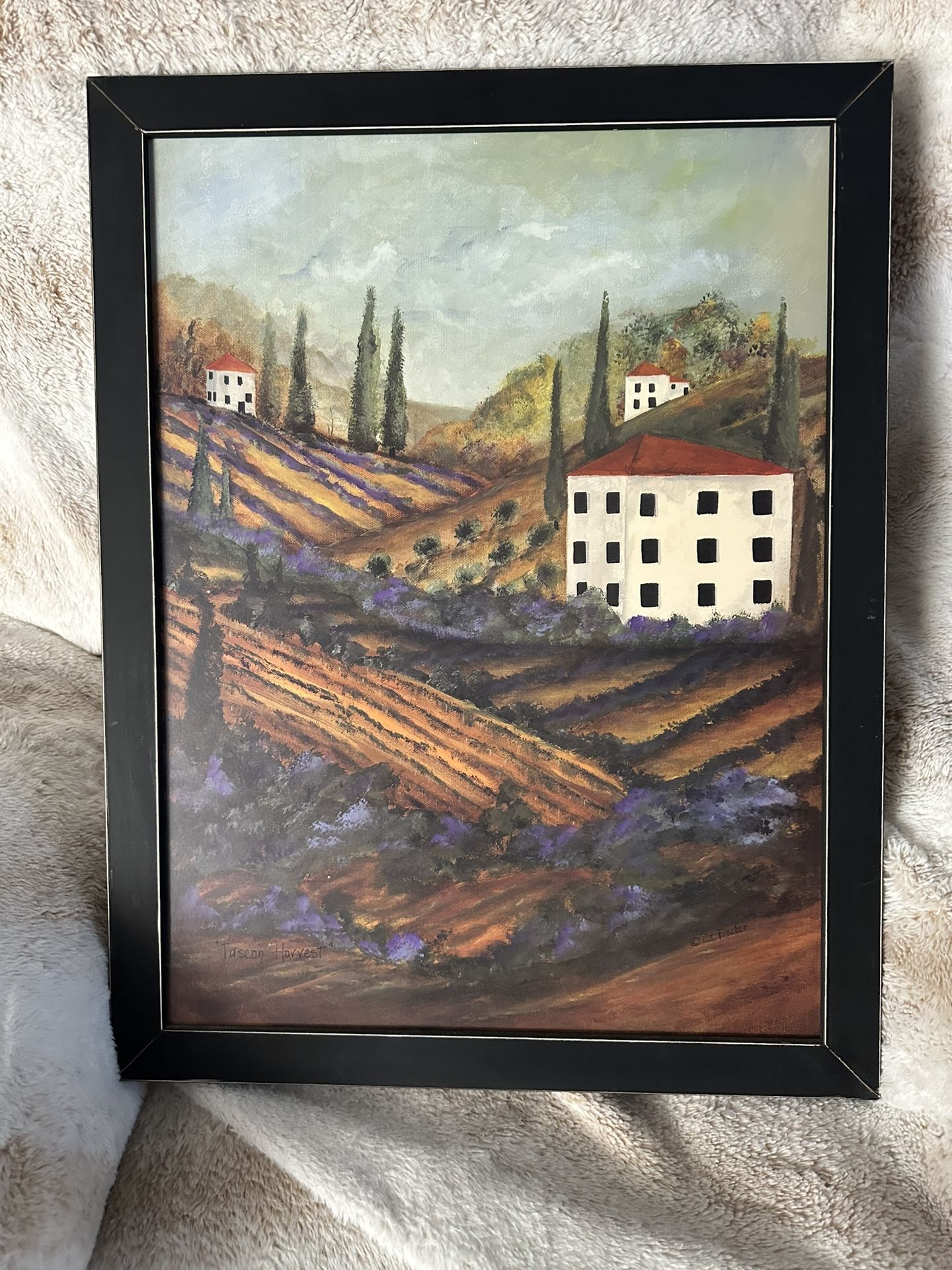 Farm House Picture