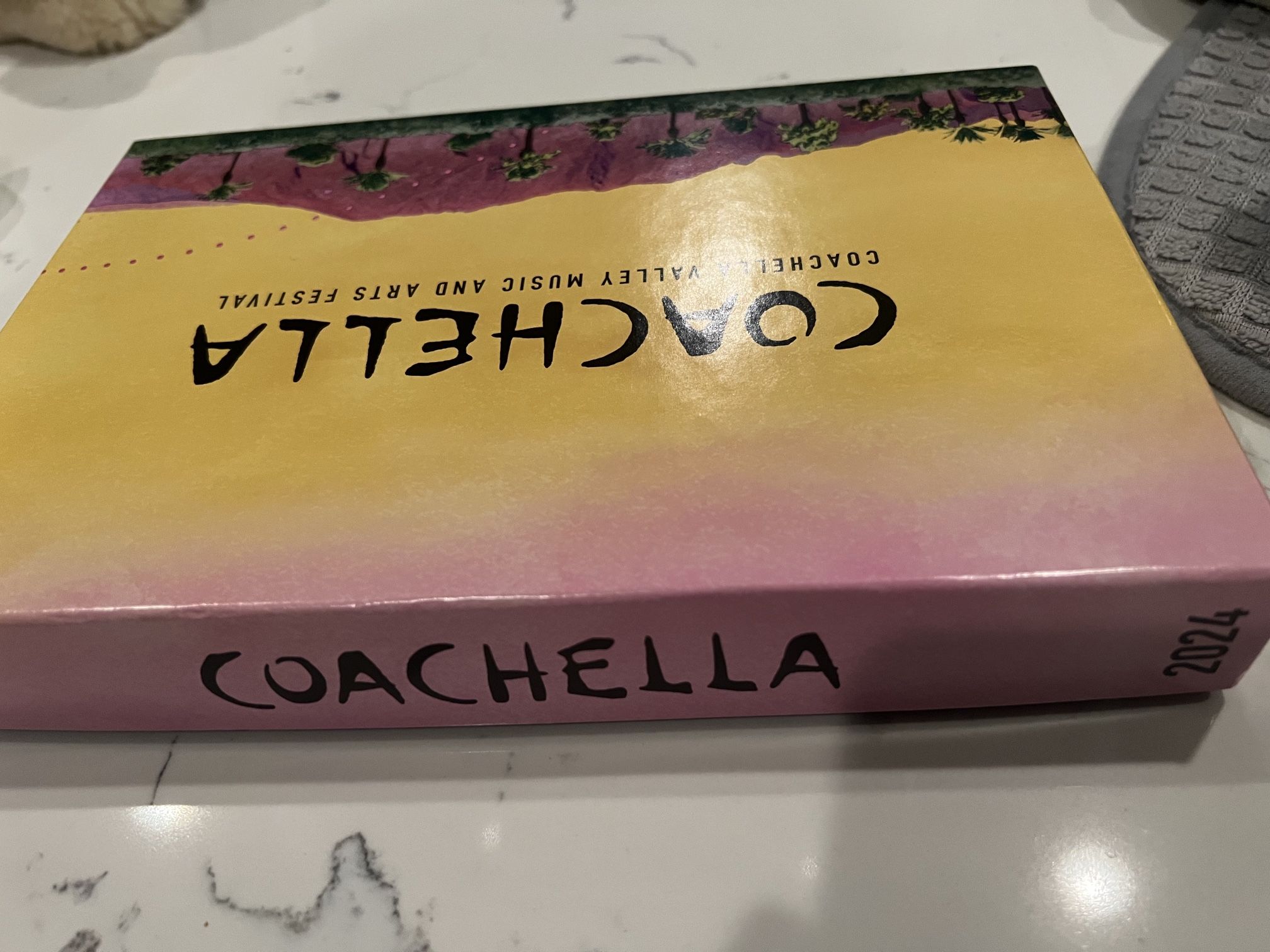 Coachella Vip