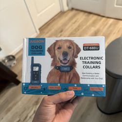 Dog Training Collar