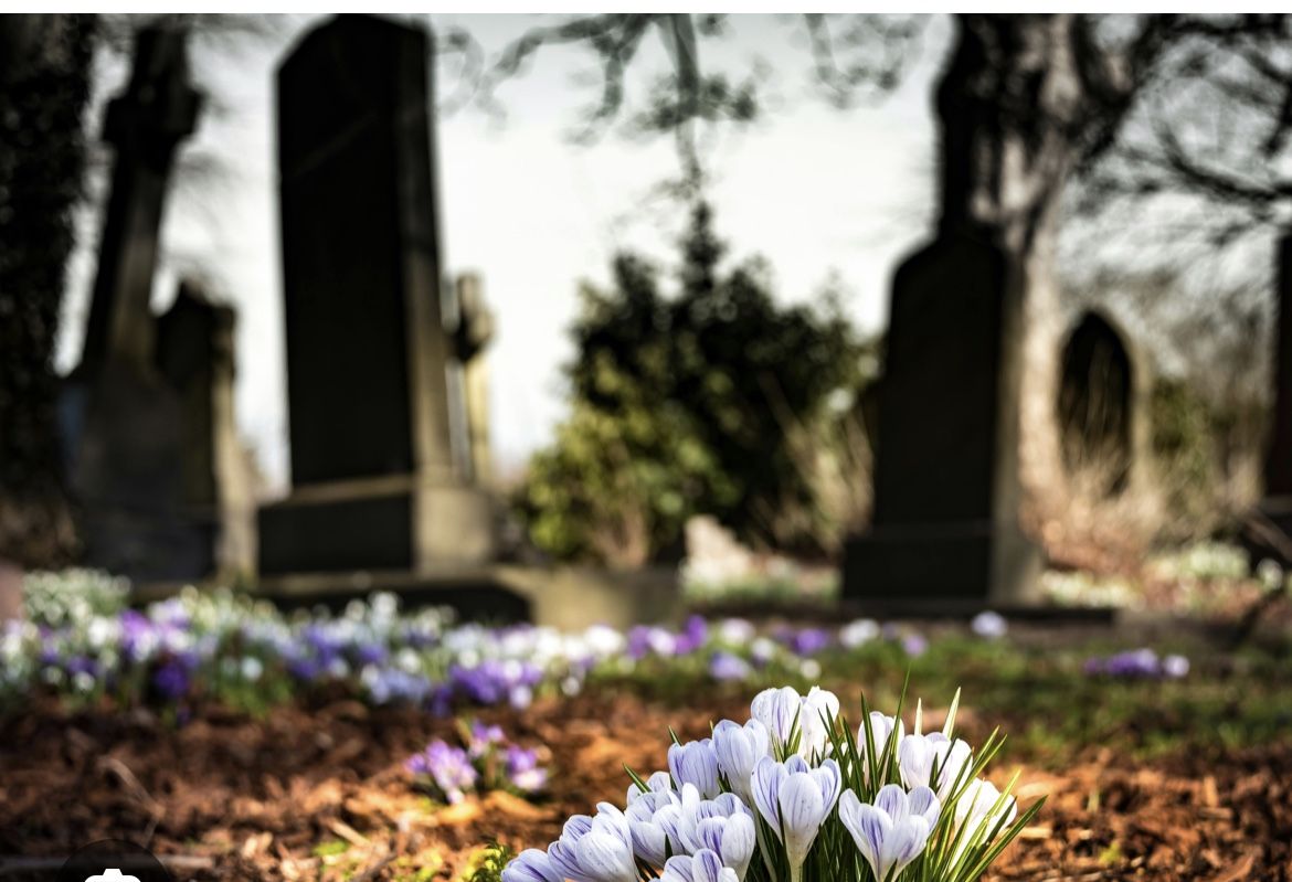 2 Cemetery Plots - Ridgewood NY