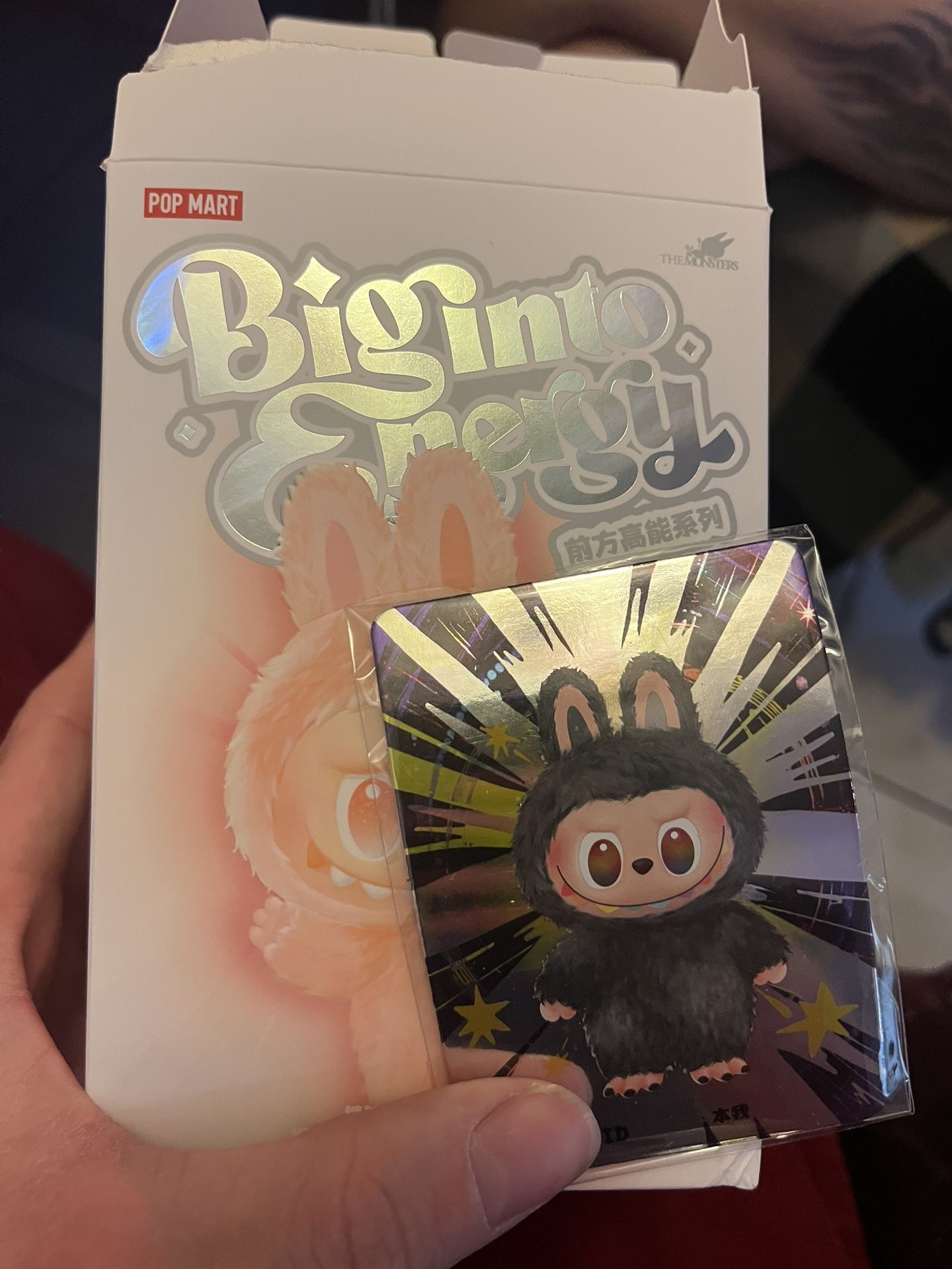 Secret Labubu ID Big into energy