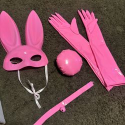 pink Bunny Costume
