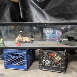 Reptile Glass Terrarium $65 OBO