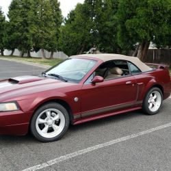 2004 Ford Mustang