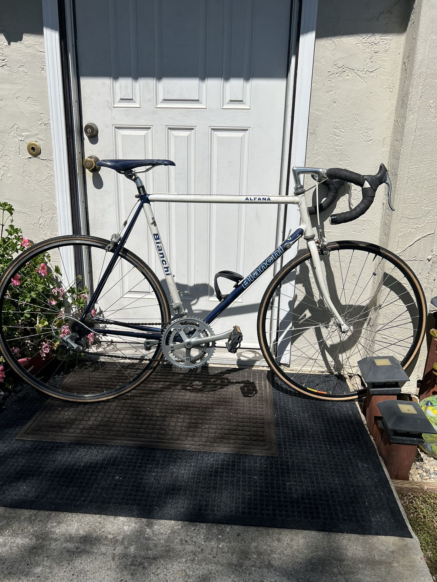 Bianchi alfana sale