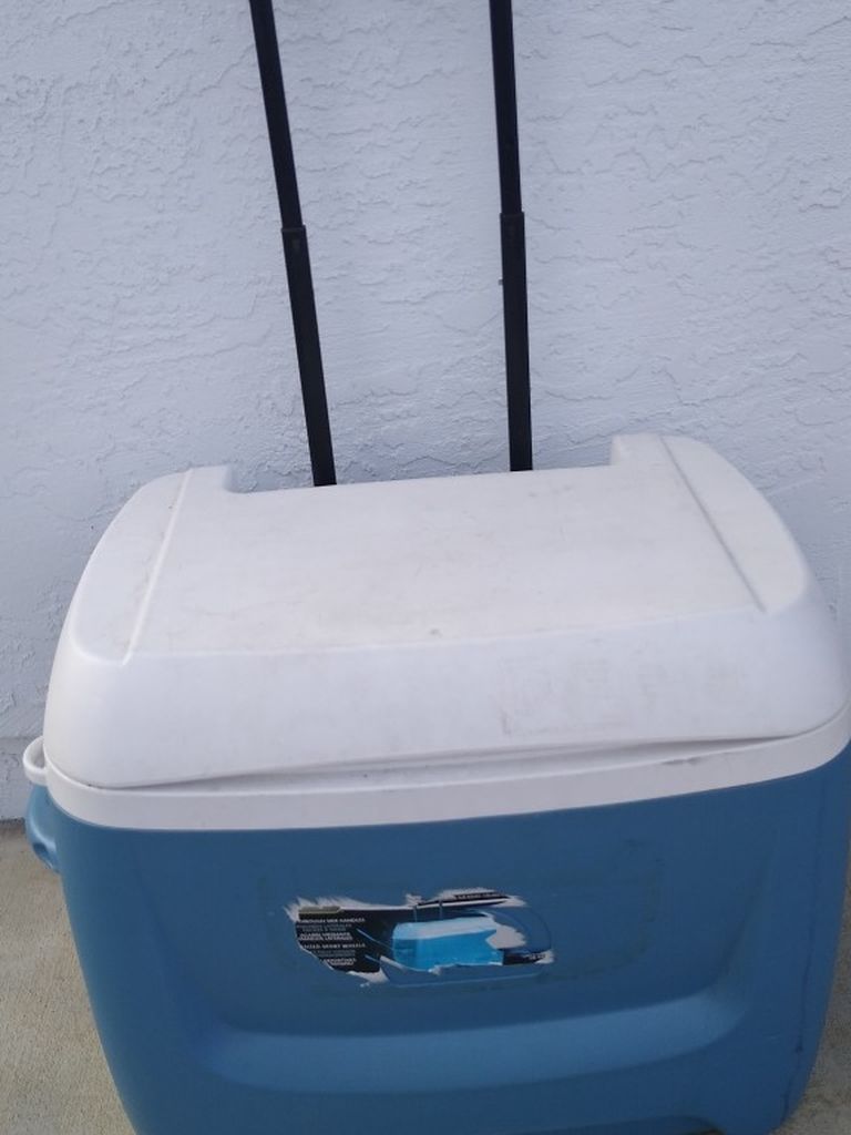 Igloo Cooler