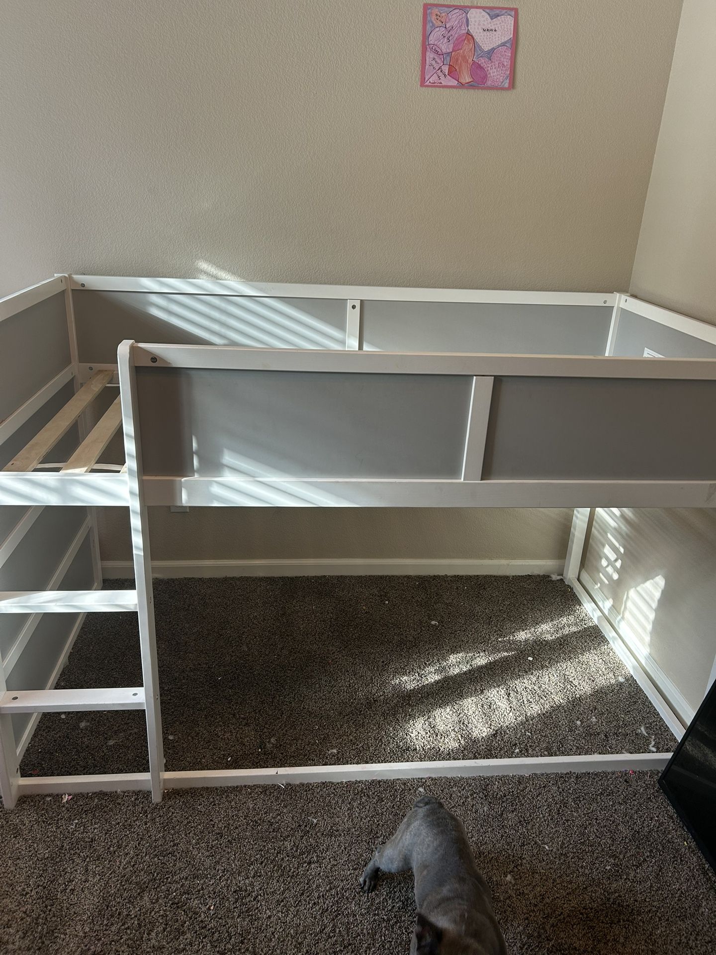 Twin Kid Loft Bed