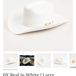 Larry Mahan felt hat 6X / Tejana