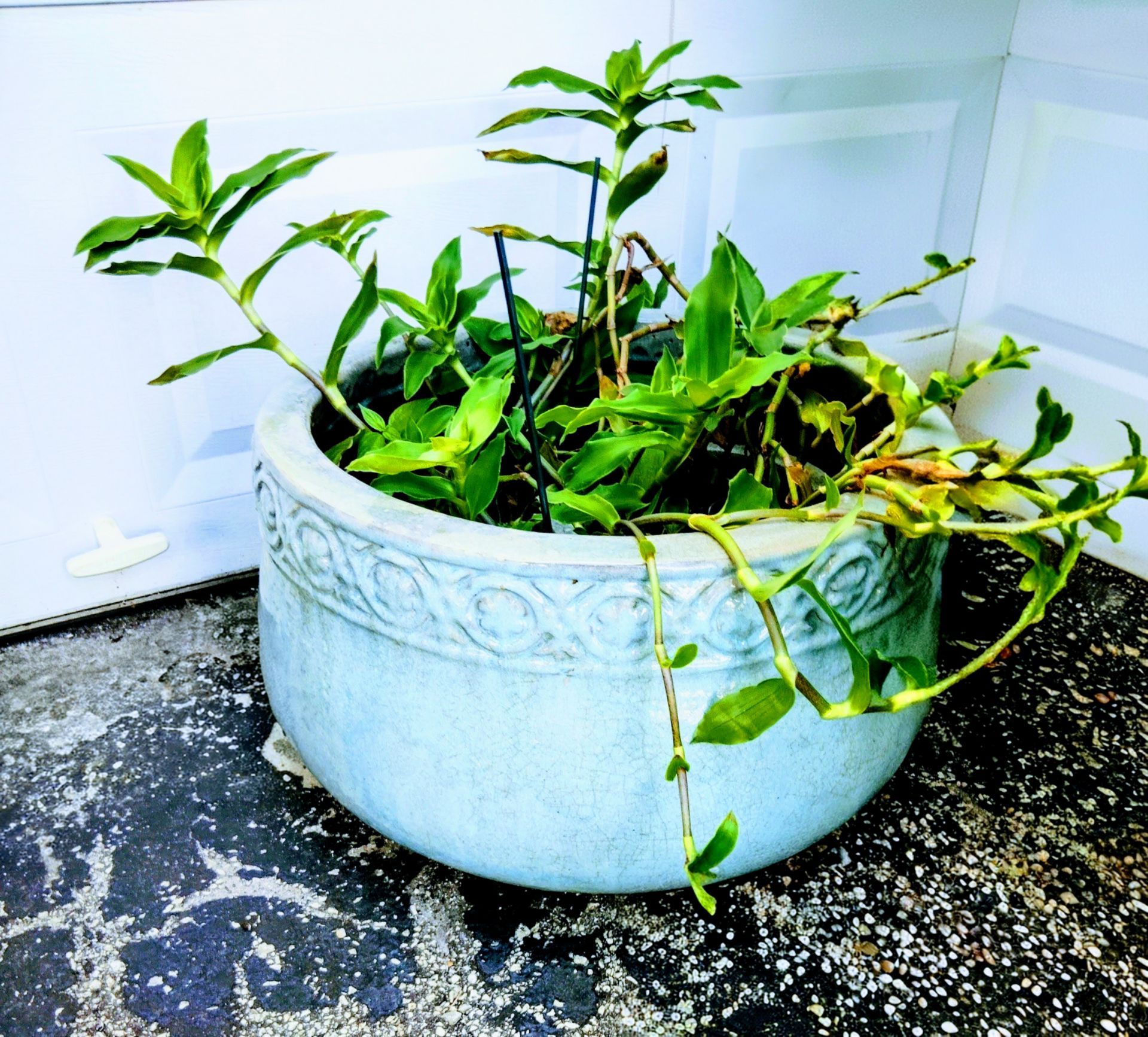 Aqua Blue HEAVY Glazed Cermamic Pot for plant