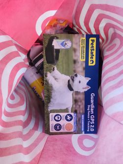 PetSafe Guardian GPS 2.0 Dog Fence and Tracker