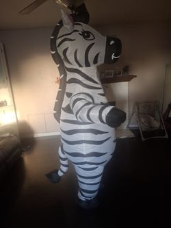 Zebra Costume