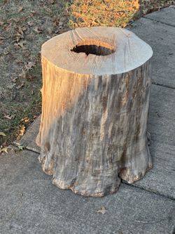 Maple Tree Trunk End Table