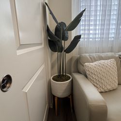 Fake Plant $45