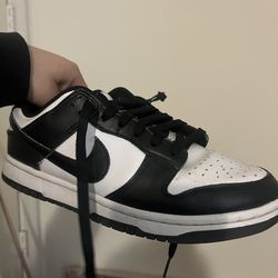 Panda dunks nike