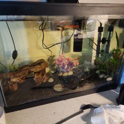 20 Gallons Fish Tank 