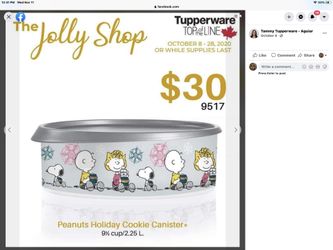 Peanut Holiday Canister