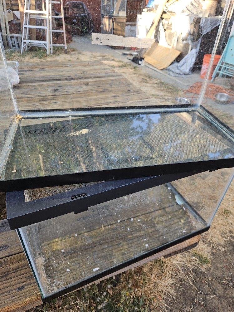 Reptile Or Rodent Enclosure