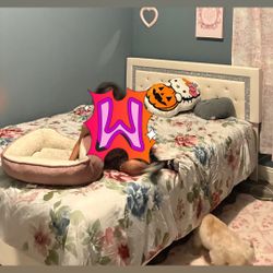 Queen Bed Frame And Mattress