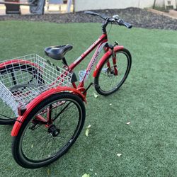 ADULT Tricycle 