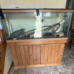 55 Gallon Tank With Stand Extra Accessories for fish