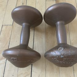 6.6 lbs  Dumbbells 