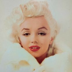 Marilyn  Monroe Framed Picture