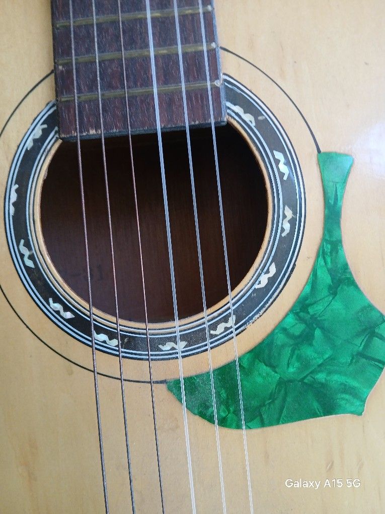 Japanese Guitar