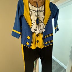 Beauty And The Beast Disney Costume