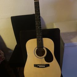 Johnson Guitar 