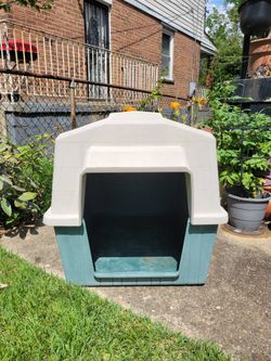 Backyard Doghouse
