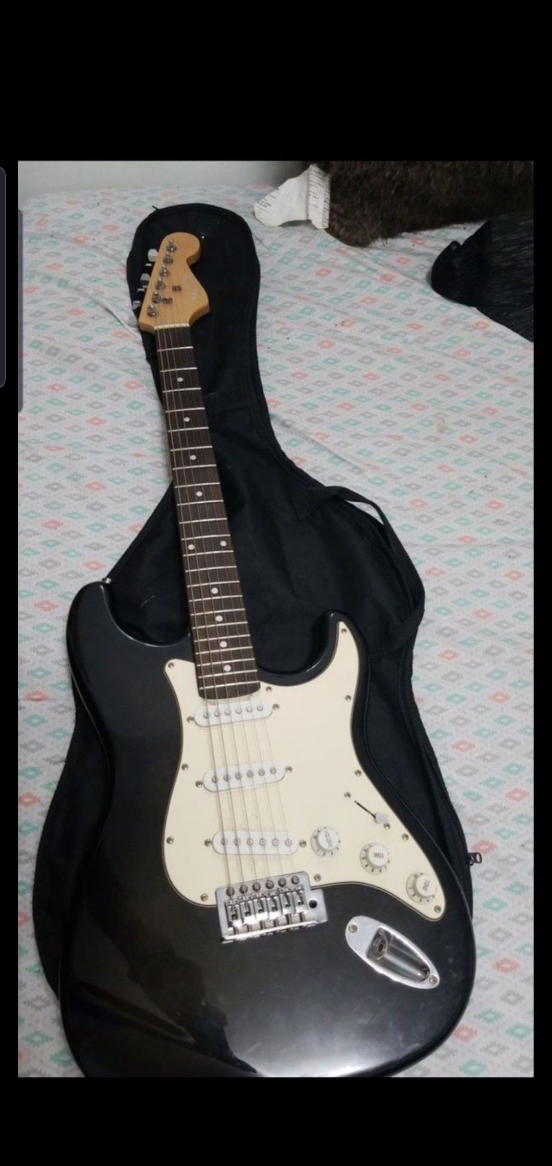 Electric Guitar