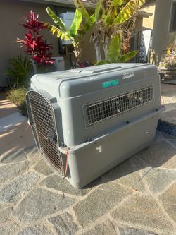 Large Dog Travel Kennels