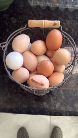 Eggs For Sale
