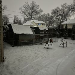 Chicken Run/ Enclosure