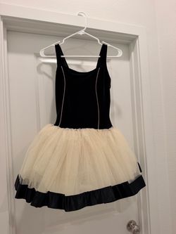 Beautiful One Piece Velvet Tutu Costume & Wig