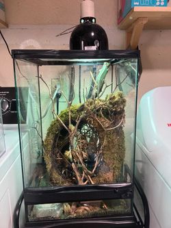 Chameleon tank
