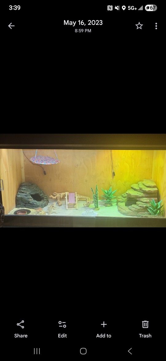 Reptile Enclosure With Lights & Accessories