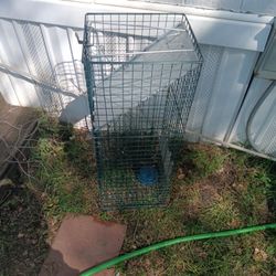 Live trap