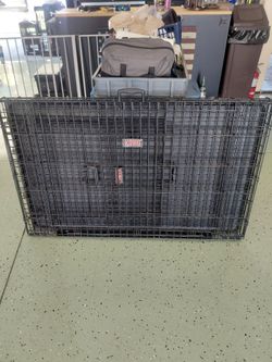 Kong Dog Kennel and Gate