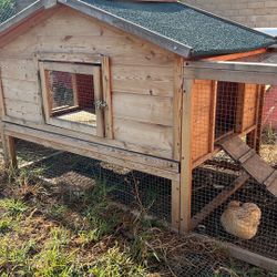 Coturnix Quail Coop