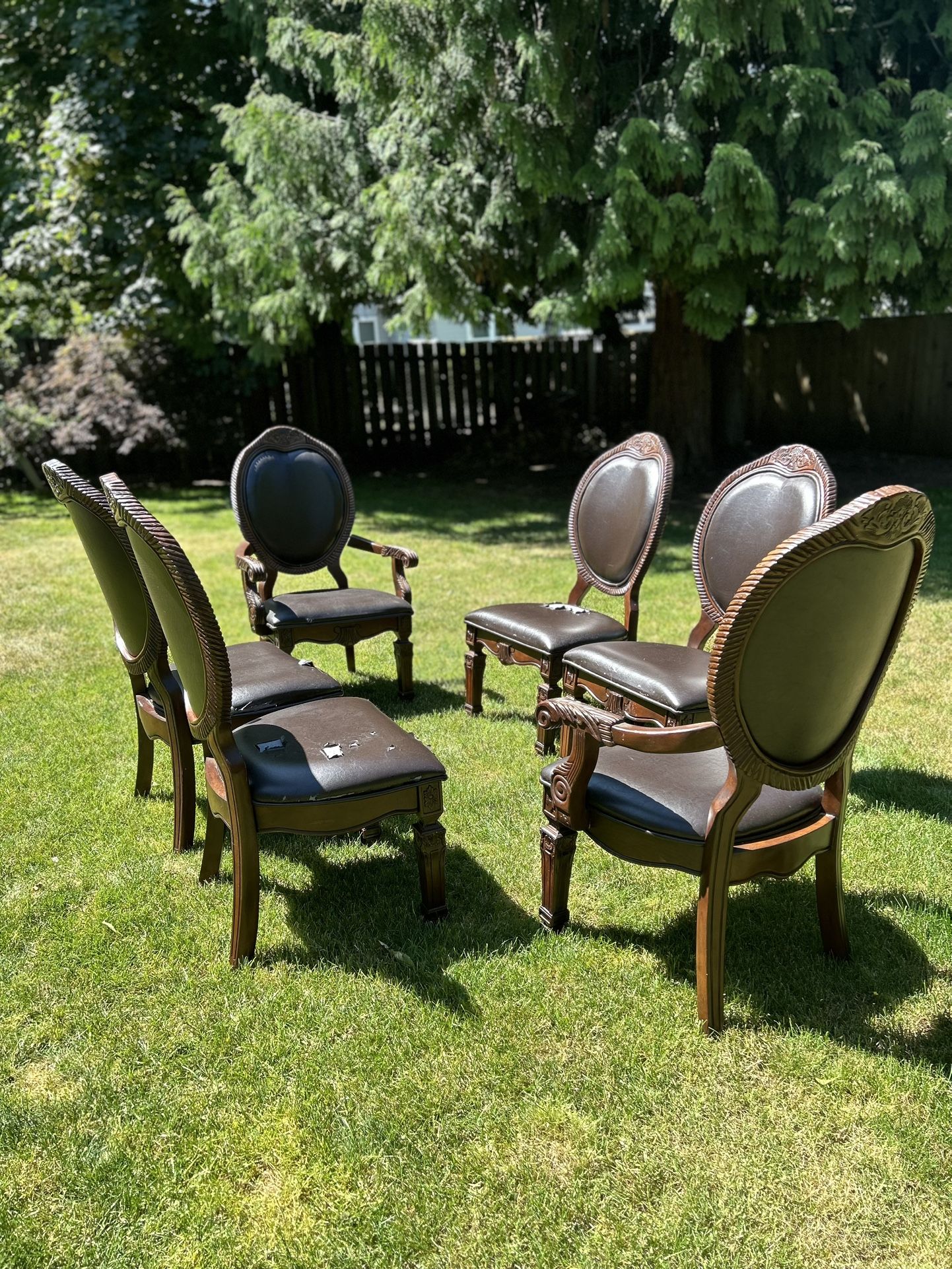 6 Chairs