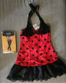 LadyBug Womens Costume