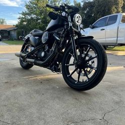 Iron 883 Harley Devision 2022 