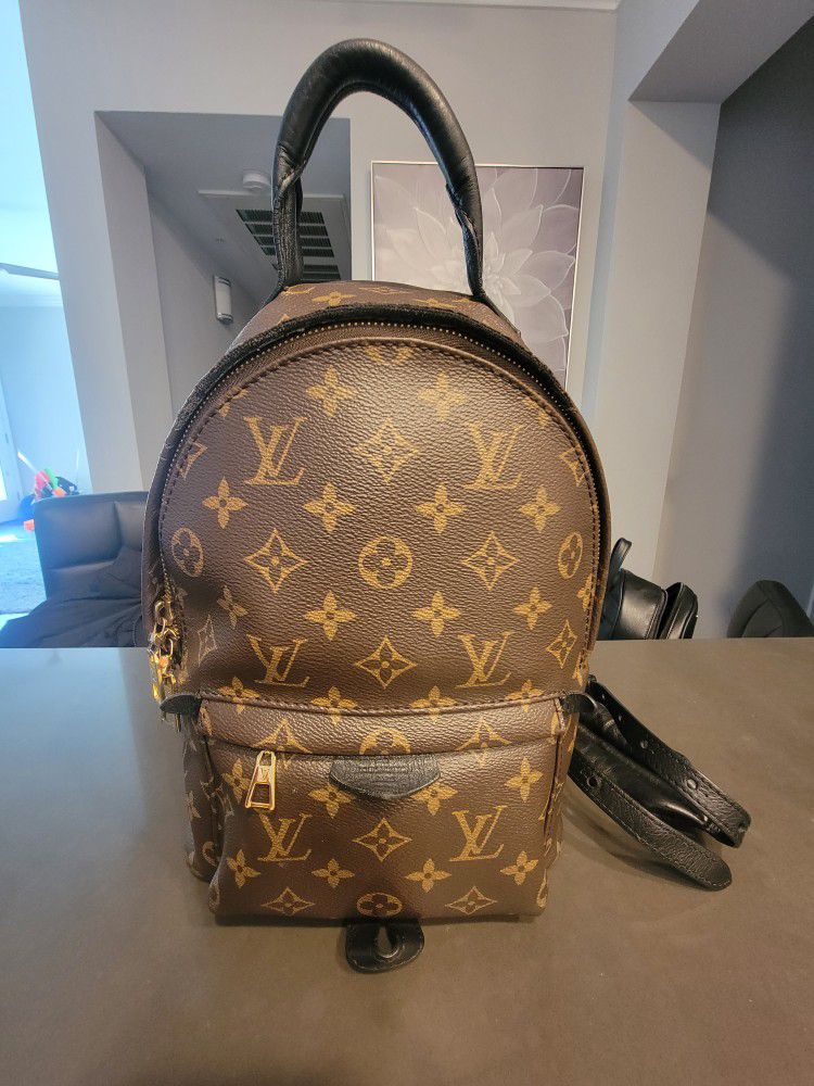 lv backpack palm spring pm