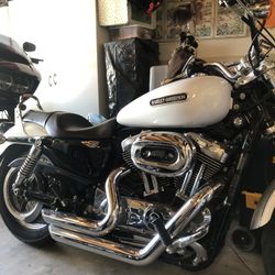 2008 Sportster 1200